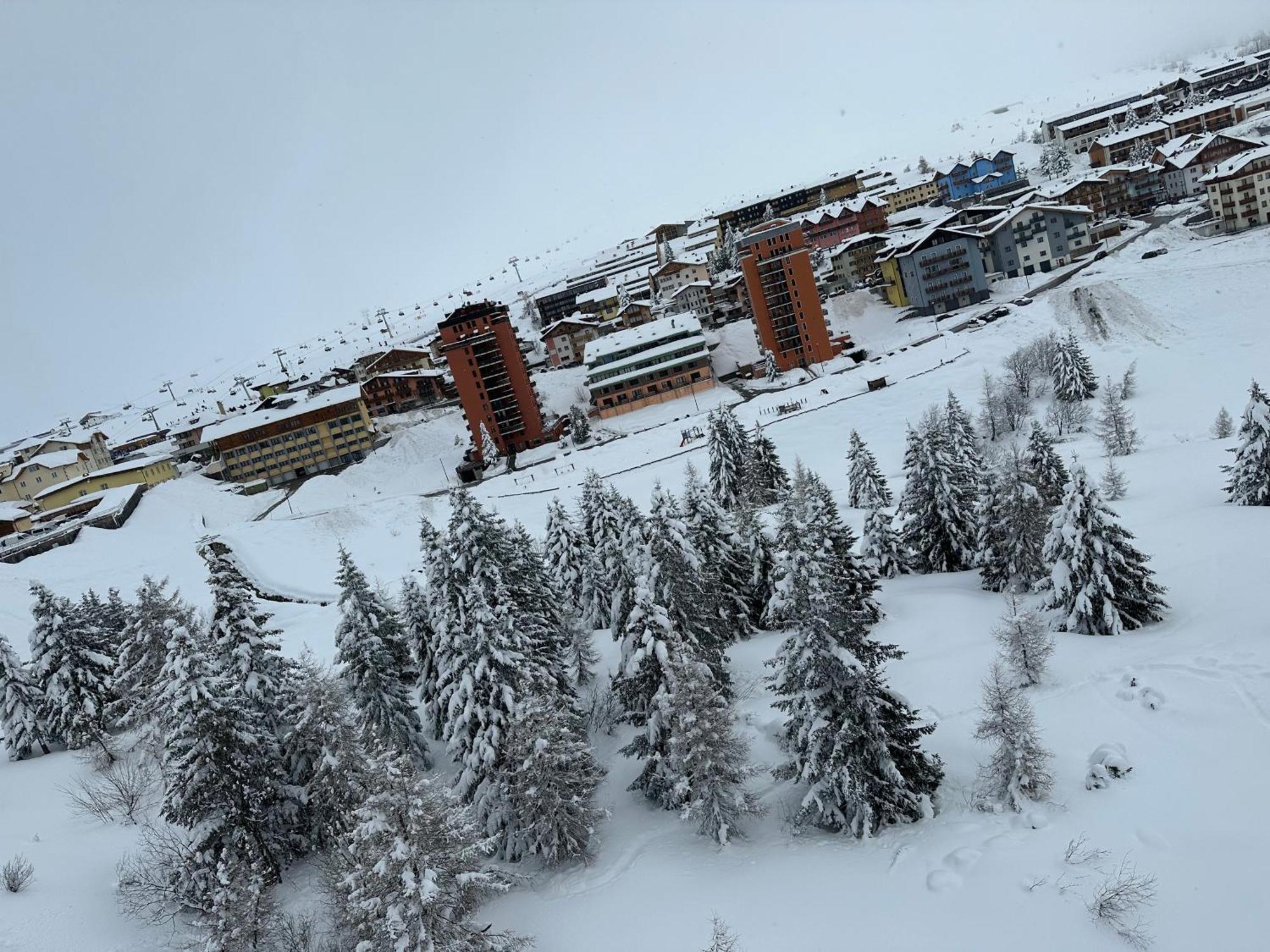 Bellavista Apartment Passo del Tonale Exterior photo